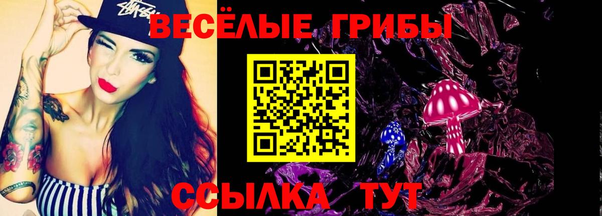 Видное  Псилоцибиновые грибы MAGIC MUSHROOMS  Вход с VPN  где продают   Галлюциногенные грибы мицелий 